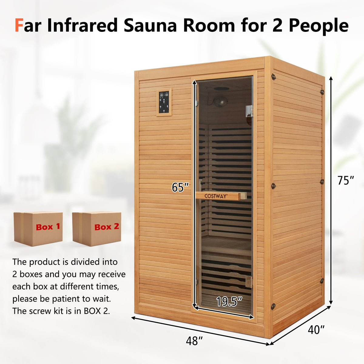 DirectDeals 2-Person Far Infrared Wooden Sauna with Red Light Therapy